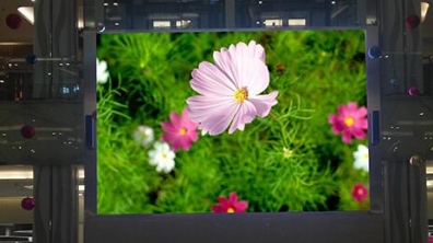 <b>Mini LED來勢洶洶，OLED還扛得住嗎？</b>